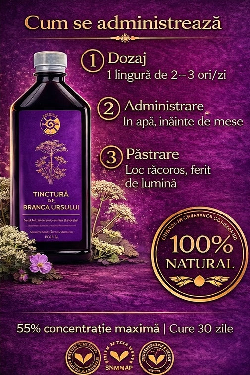 Tinctură de Brânca Ursului – Vitalitate, Fertilitate și Echilibru Hormonal | 500ml - Spiteria Vraciului
