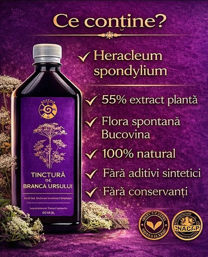 Tinctură de Brânca Ursului – Vitalitate, Fertilitate și Echilibru Hormonal | 500ml - Spiteria Vraciului