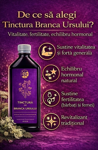 Tinctură de Brânca Ursului – Vitalitate, Fertilitate și Echilibru Hormonal | 500ml - Spiteria Vraciului