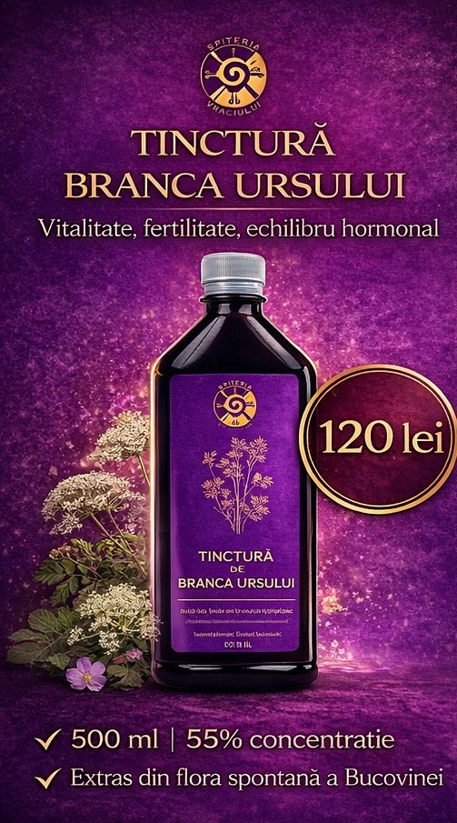 Tinctură de Brânca Ursului – Vitalitate, Fertilitate și Echilibru Hormonal | 500ml - Spiteria Vraciului