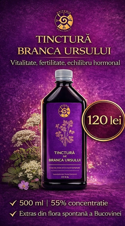 Tinctură de Brânca Ursului – Vitalitate, Fertilitate și Echilibru Hormonal | 500ml - Spiteria Vraciului