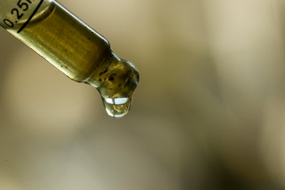 Remediu FERENT - Digestie ușoară