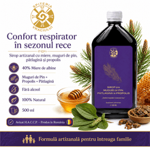Leac Bătrânesc pentru Tuse și Bronșii – Sirop Muguri de Pin, Pătlagină și Propolis | 500ml - Spiteria Vraciului