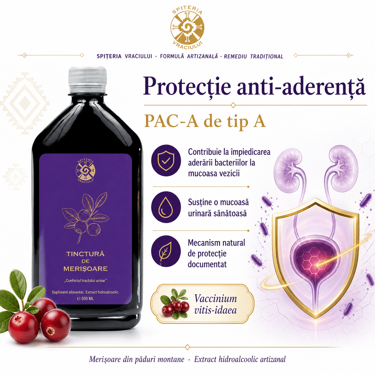 Leac Bătrânesc pentru Tract Urinar – Tinctură de Merișoare | 500ml - Spiteria Vraciului
