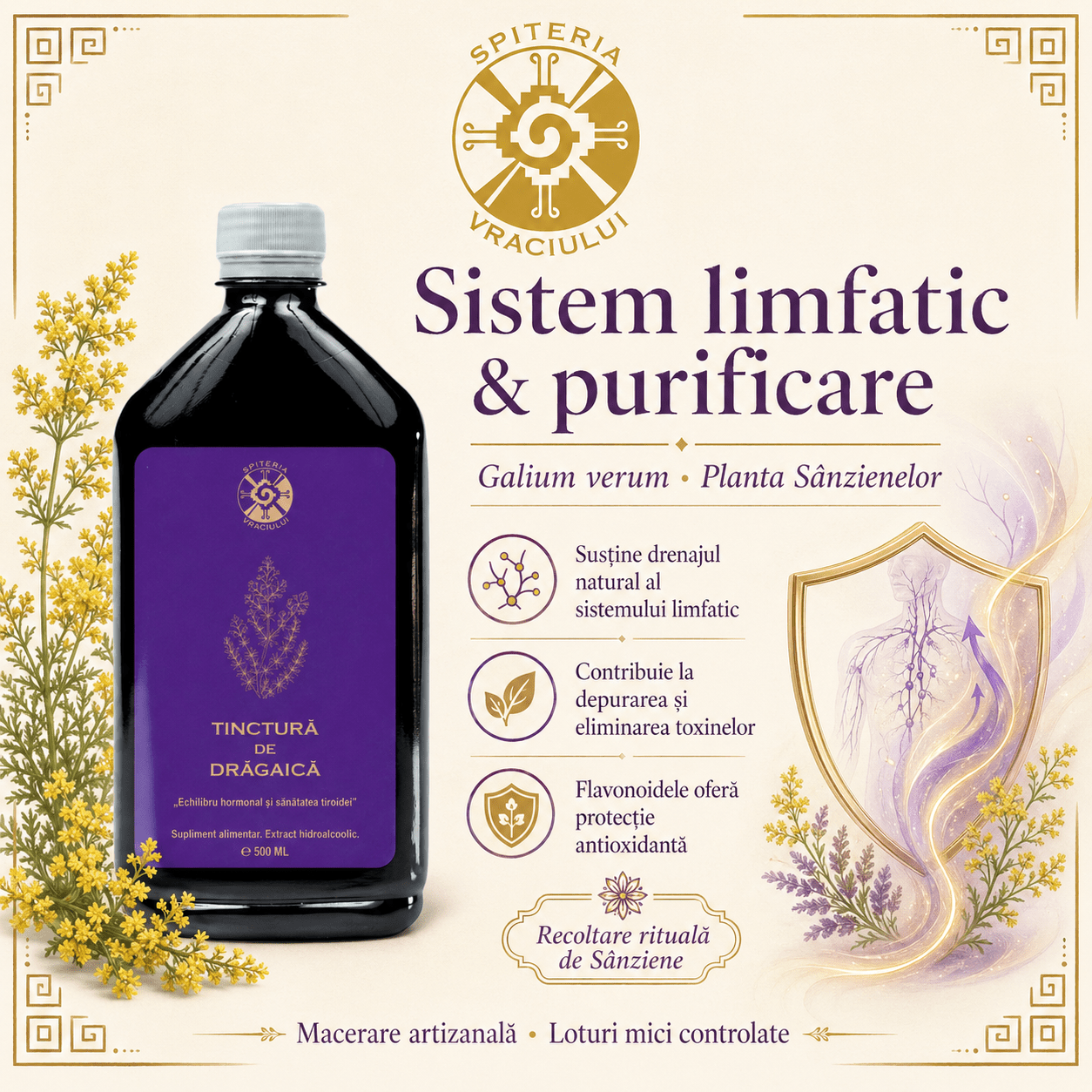 Tinctură de Drăgaică – Echilibru Hormonal și Sănătatea Tiroidei | 500ml - Spiteria Vraciului