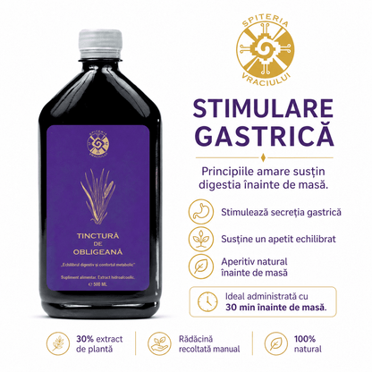Tinctură de Obligeană – Echilibru Digestiv și Confort Metabolic | 500ml - Spiteria Vraciului